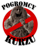 Pogromcy Kurzu – Świadczymy usługi na terenie Torunia i okolic